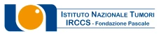 Istituto Nazionale Tumori IRCCS Fondazione Pascale
