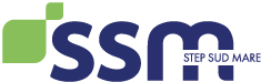 ssm-3 (1)